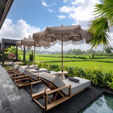 Villa Black Pearl By Balisuperhost Ubud Eksteriør bilde