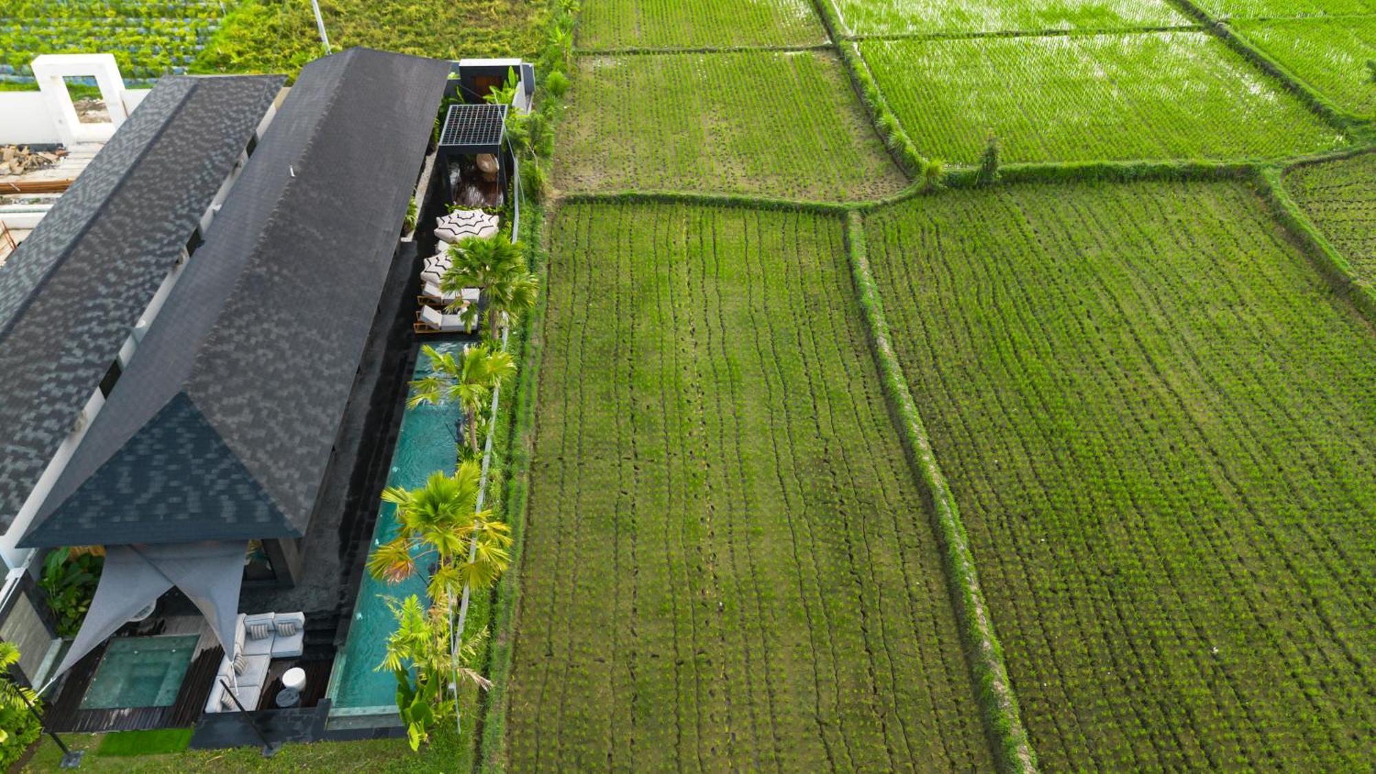 Villa Black Pearl By Balisuperhost Ubud Eksteriør bilde